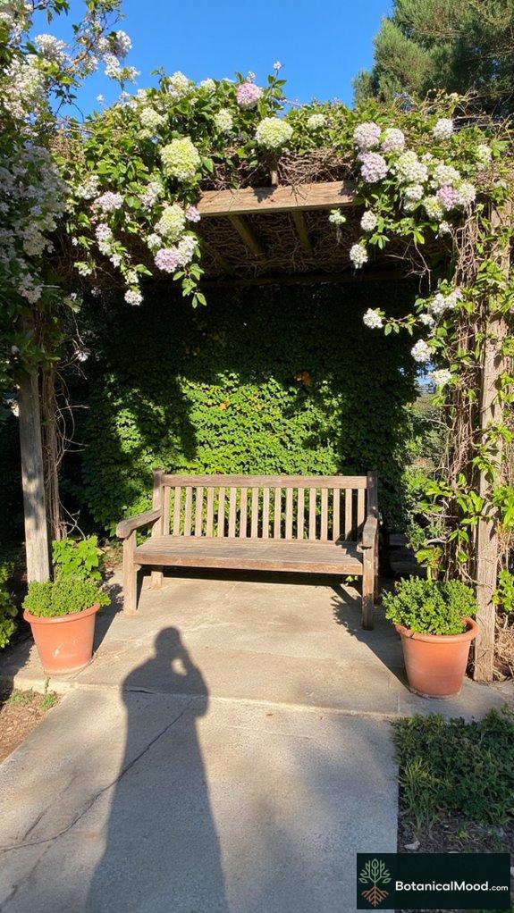 elevate outdoor space design