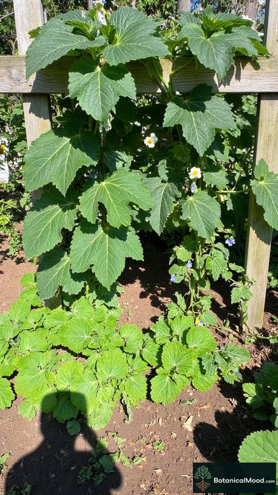 maximizing vertical gardening space
