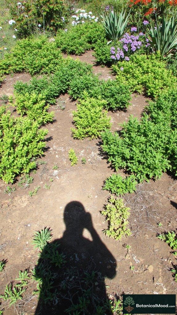 native roots enhance soil health