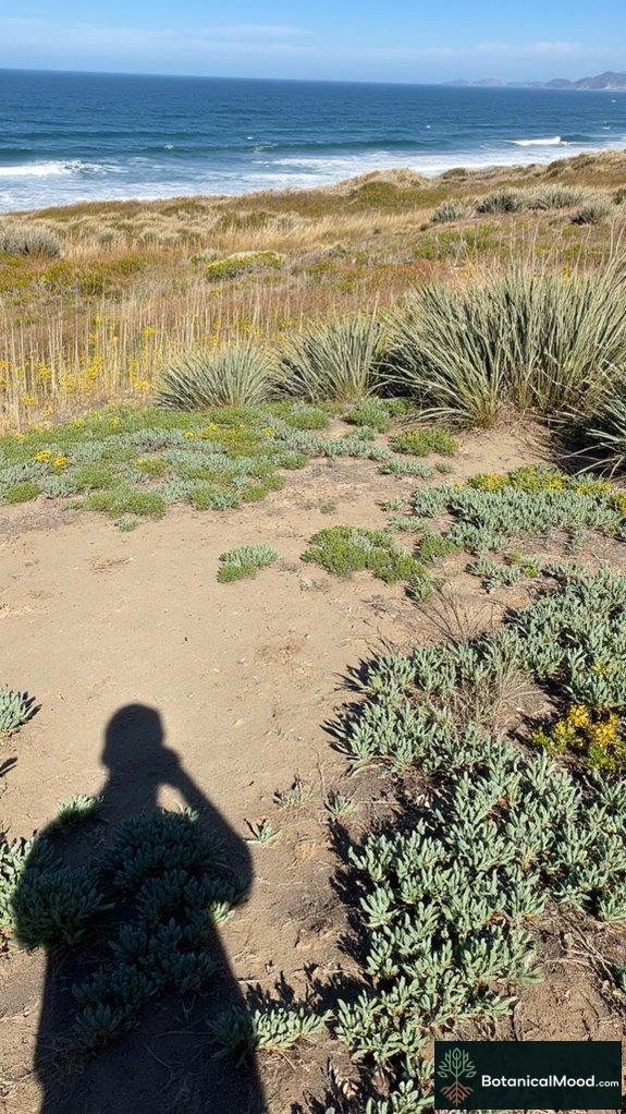 resilient coastal garden plants