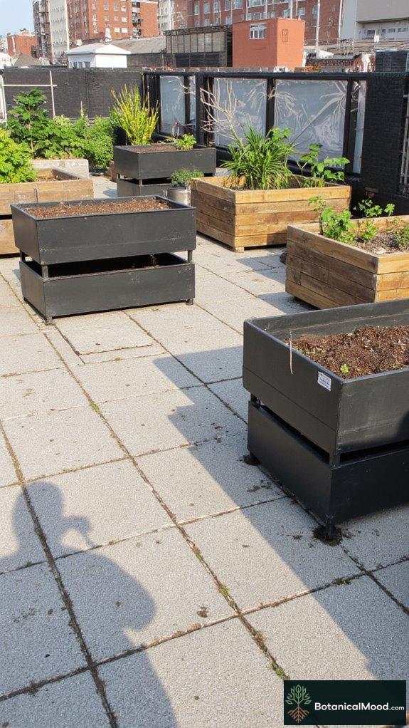 vertical urban gardening solutions