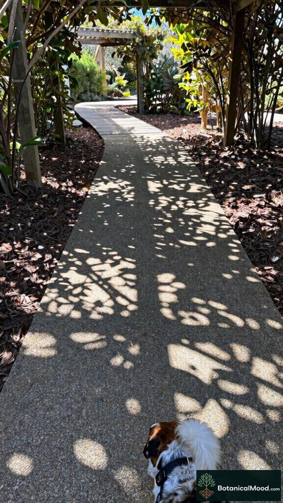dog friendly garden pathways designed