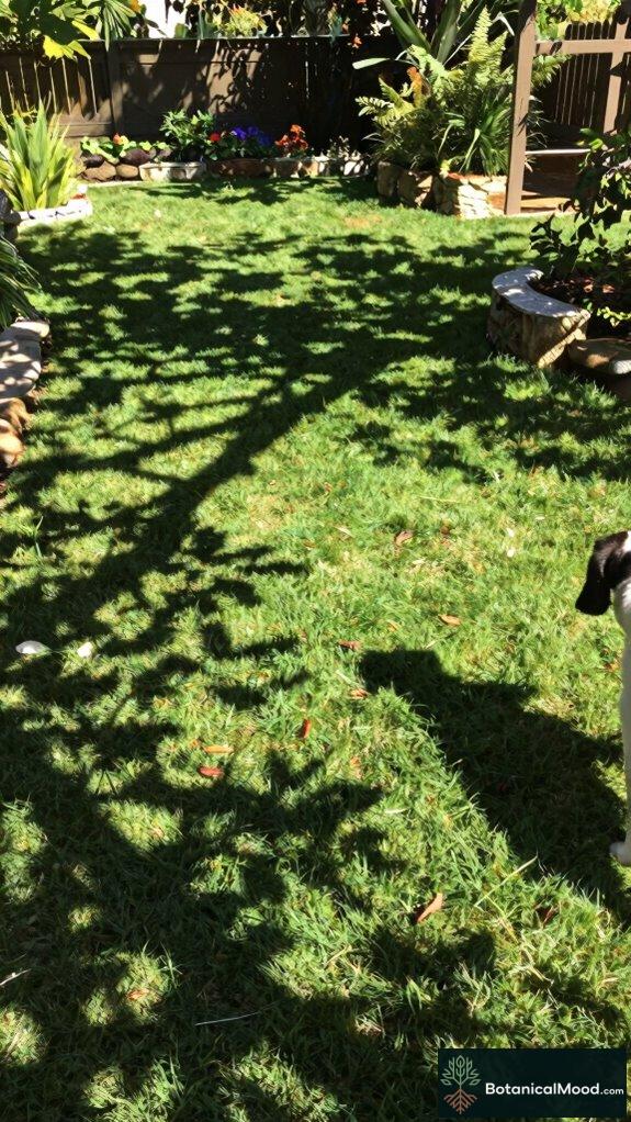 durable collars for gardens