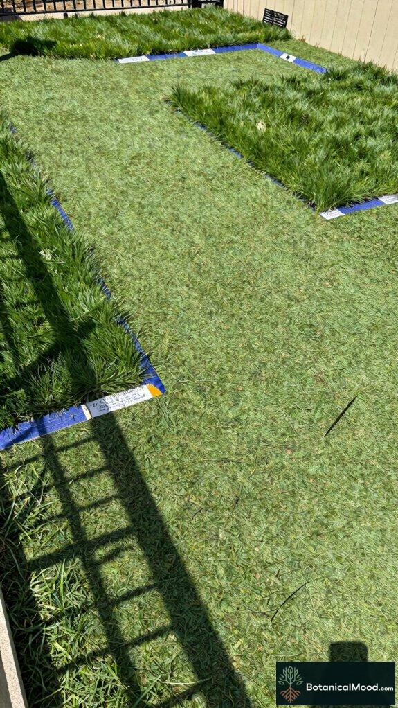 safe non toxic pet materials