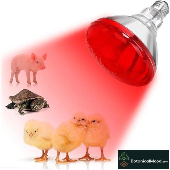 DaToo Infrared Heat Lamp Bulb 150W