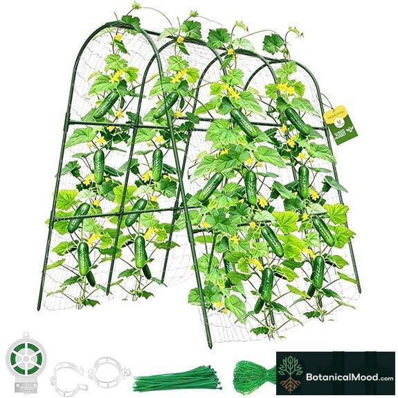 Cucumber Trellis for Raised Bed Garden Arch