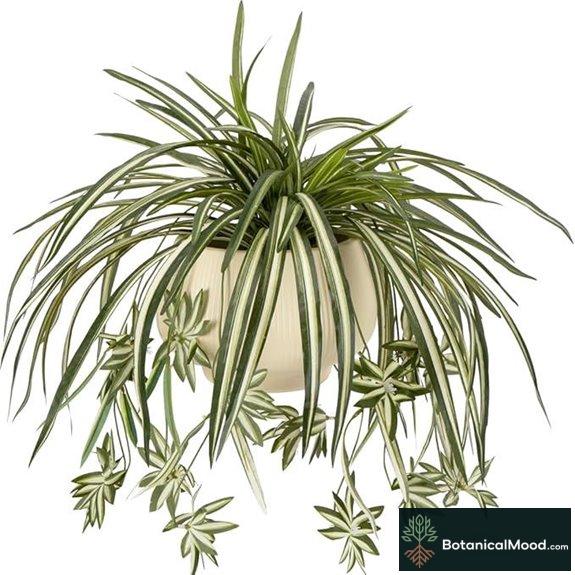artificial spider plant set