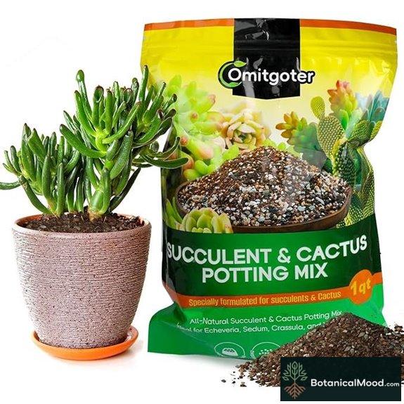 Succulent & Cactus Soil Potting Mix 1qt