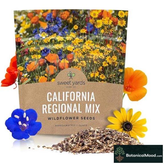California Wildflower Seed Mixture (7,000+ Seeds)
