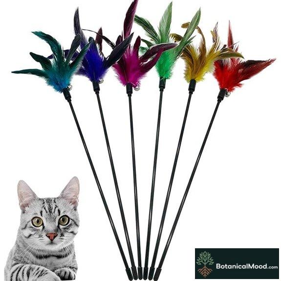 cat toy with feathers