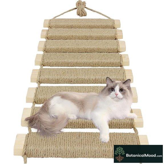 Outdoor Cat Tree with Ladder Bridge & Scratcher (20in)