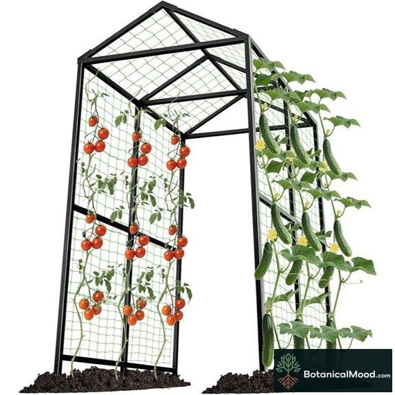 Metal Garden Arch Trellis for Climbing Plants