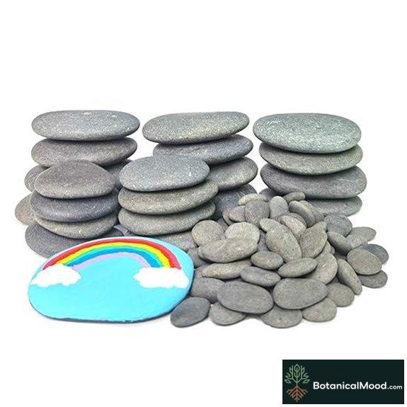 Lifetop 120PCS Painting Rocks for Crafts