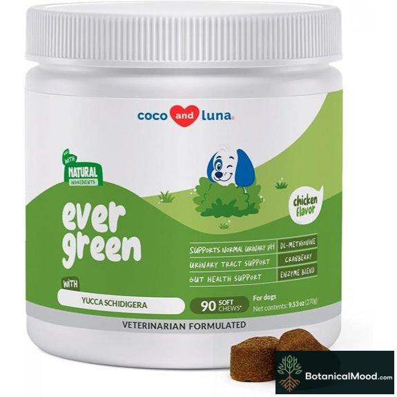 Grass Burn Spot Soft Chews for Dogs