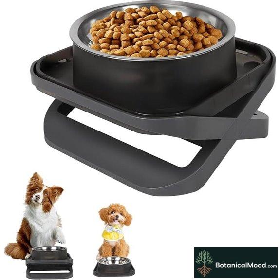 Raised Dog Bowls for Small & Medium Dogs
