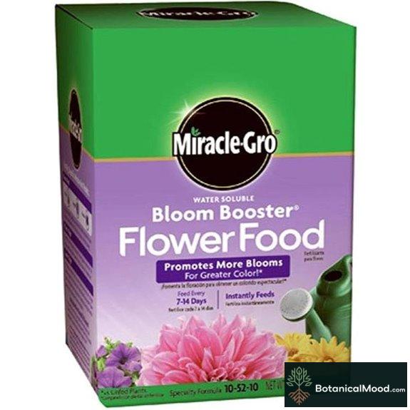 Miracle-Gro Bloom Booster Flower Food (1 lb)