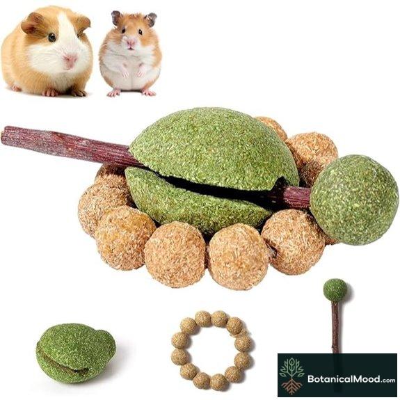 Mini & Moe Hamster Chew Toys for Dental Health