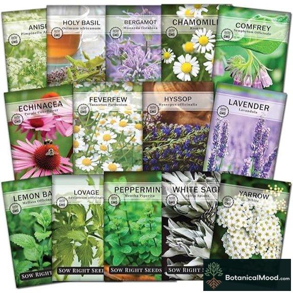 Sow Right Medicinal Herb Seed Collection