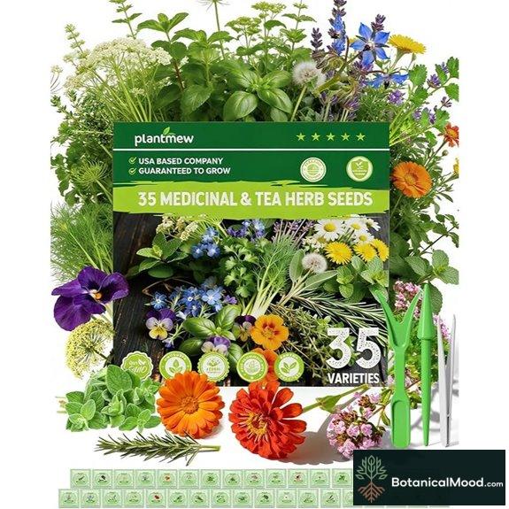 Medicinal & Tea Herb Seed Pack