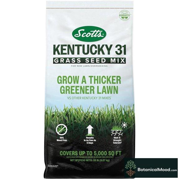 Scotts Kentucky 31 Grass Seed Mix 20 lb