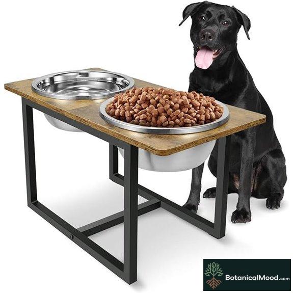 Elevated Dog Bowls for Large Dogs (X-Large Stainless)