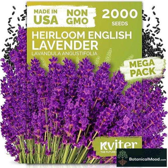 KVITER English Lavender Seeds for Planting Outdoor Indoor