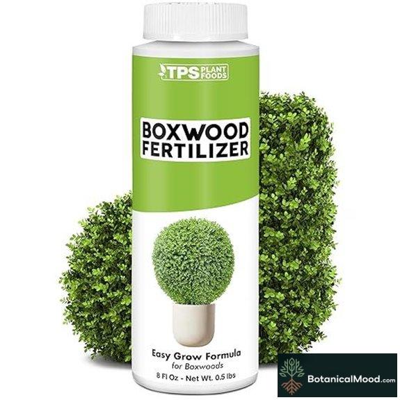 Boxwood Fertilizer – Liquid Plant Food for Dense Growth