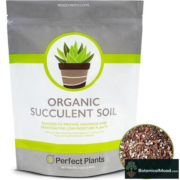 All Natural Succulent Soil Mix 4 Qt