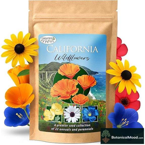 Created By Nature Wildflower Seed Mix