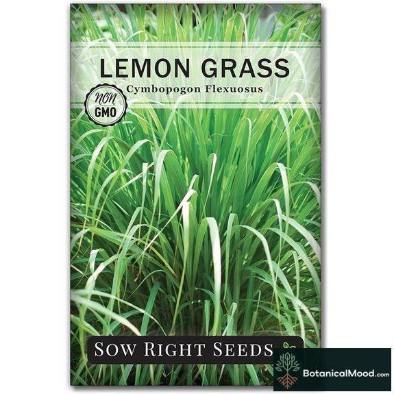 Sow Right Lemon Grass Seed (Non-GMO)