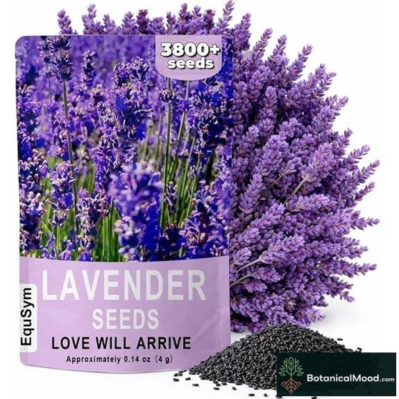 Lavender Seeds for Planting Outdoor (Non-GMO)