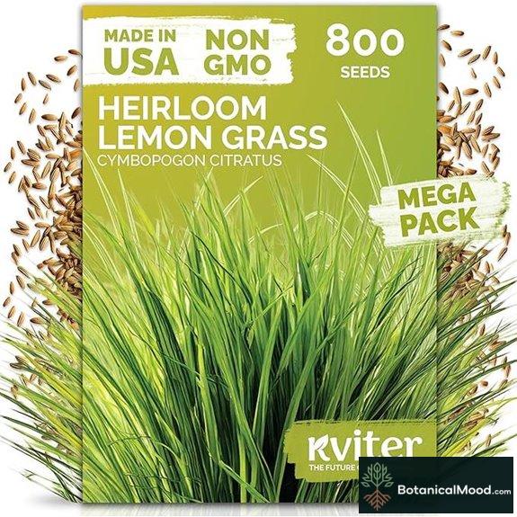 KVITER 800 Lemongrass Seeds (Organic Non-GMO)