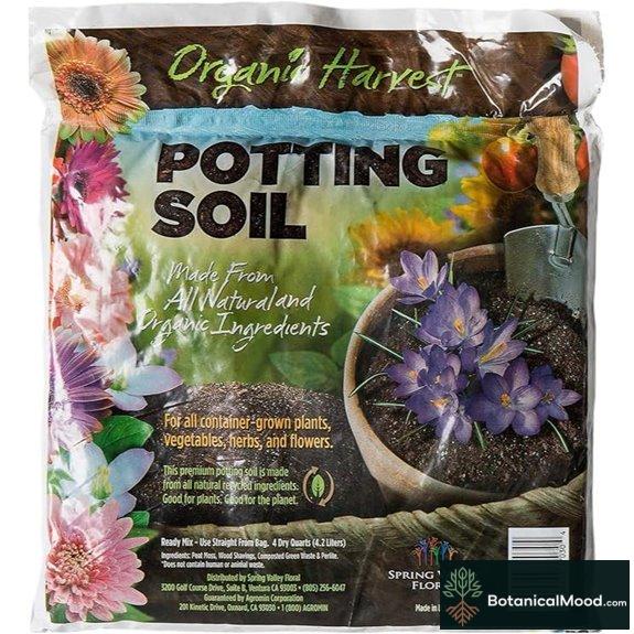 SuperMoss Agromin Organic Recycled Potting Mix (4 Qt)
