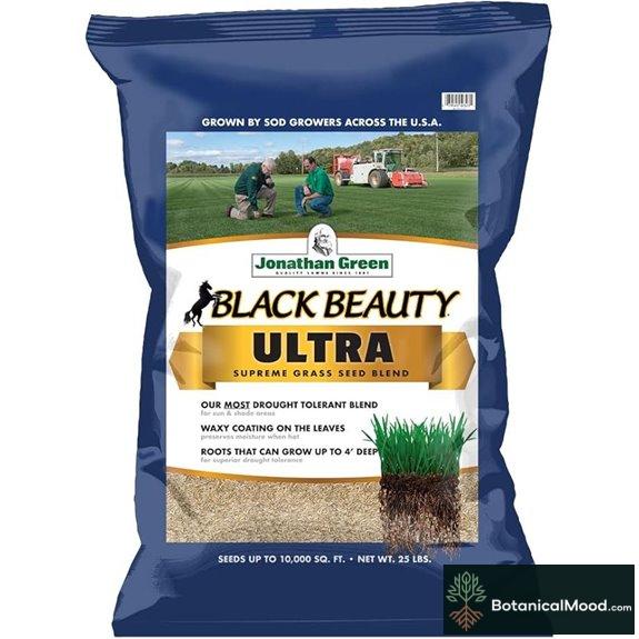 Jonathan Green Black Beauty Ultra Grass Seed (25 lb)