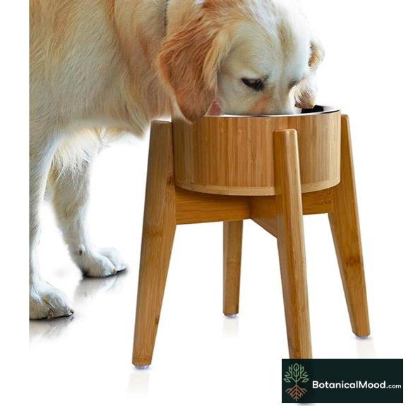 Elevated Dog Bowls for Large Breeds (15)