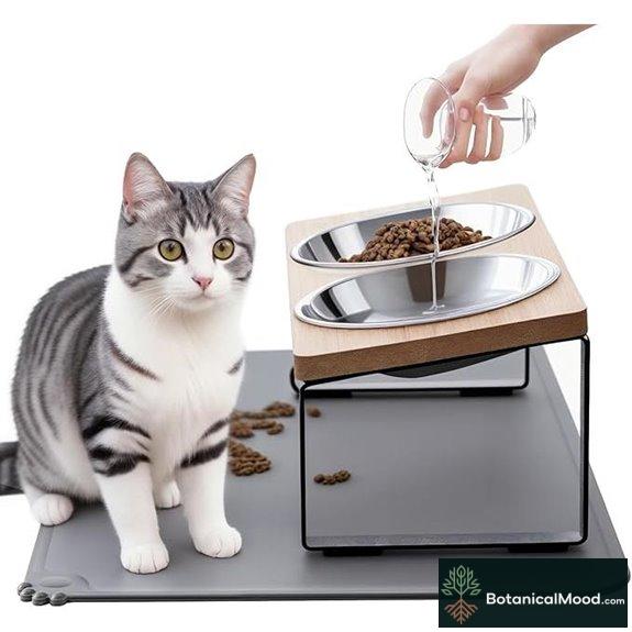 Elevated Cat Bowls with Food Mat and Stainless Steel Dishes