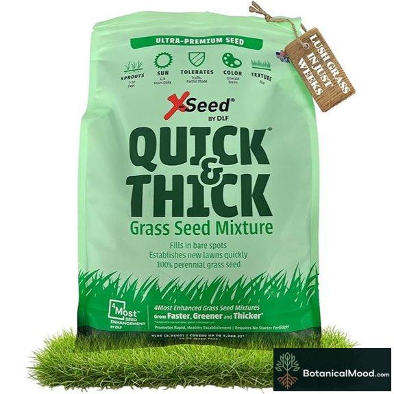 Ultra Premium Lawn Seed Mixture for Rapid Germination 7lb