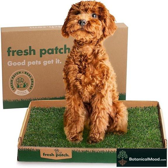 Fresh Patch Real Grass Pet Urine Training Mat