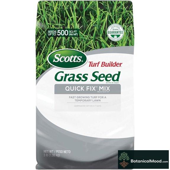 Scotts Turf Builder Grass Seed (3 lbs)