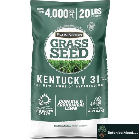 Pennington Kentucky 31 Tall Fescue Grass Seed 20 lb