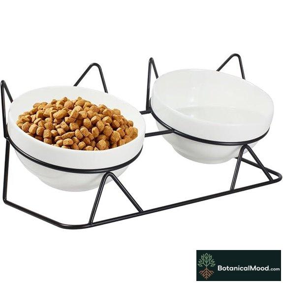 Elevated Tilted Ceramic Cat Bowls for Indoor Cats