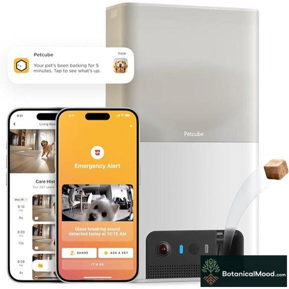 Petcube Bites 2 Lite WiFi Pet Camera