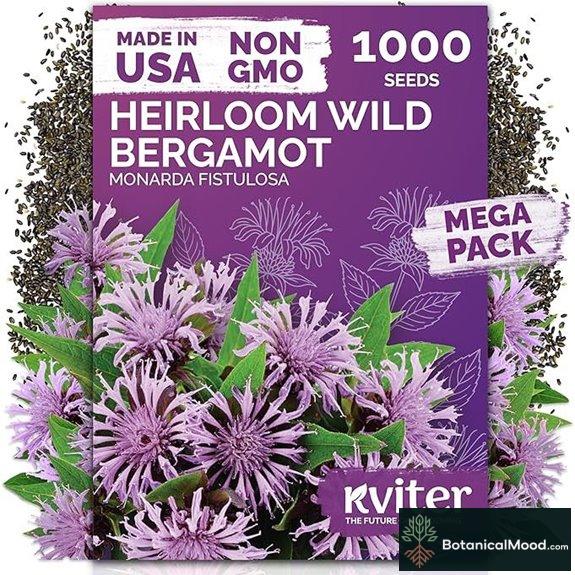 KVITER 1000 Wild Bergamot Seeds (Monarda)