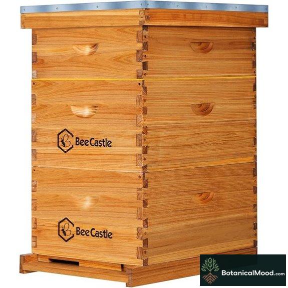 BeeCastle 10-Frame Langstroth Bee Hive Set