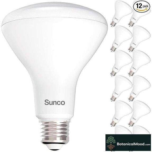 12-Pack BR30 LED Flood Light Bulbs Daylight 5000K