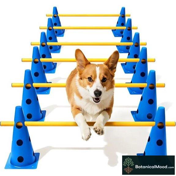 Dog Agility Course Set with Adjustable Hurdles