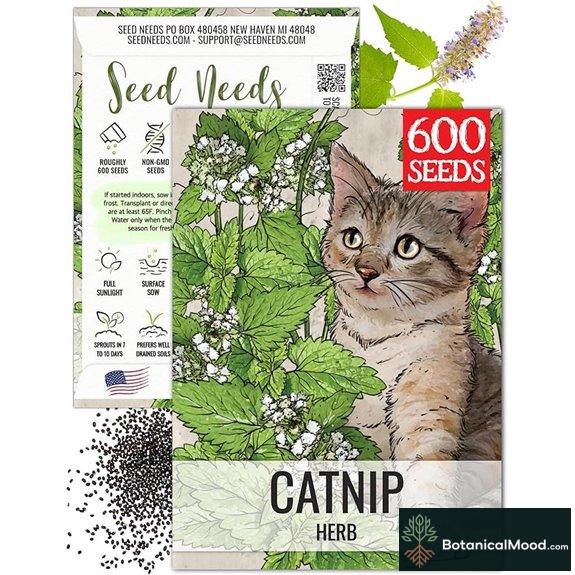 Seed Needs Catnip Seeds to Plant Heirloom Non-GMO Herbs for Cats 1 Pack