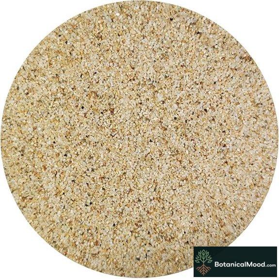 Natural Coarse Silica Sand Vase Filler (2 lb)