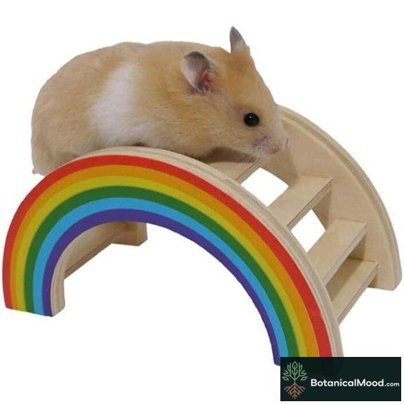 Rainbow Play Bridge for Small Animals