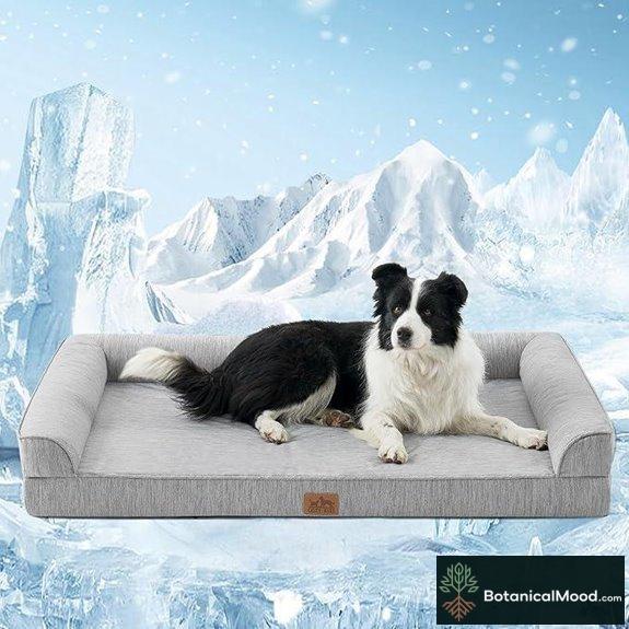 cooling orthopedic dog bed